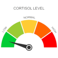 Low Cortisol